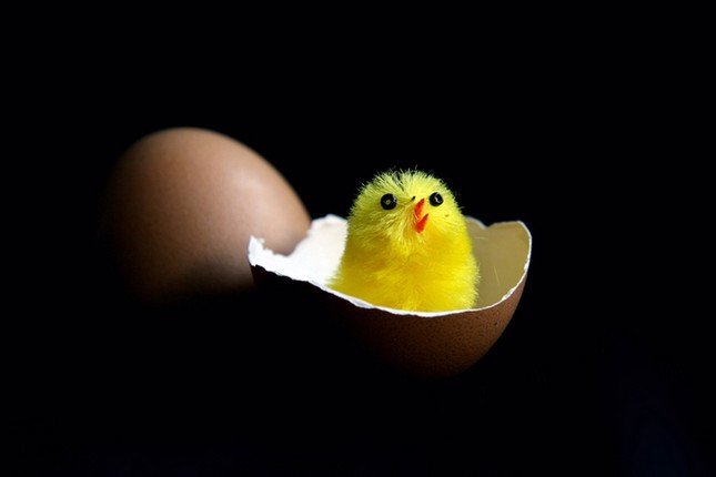 happy easter. (1).jpg