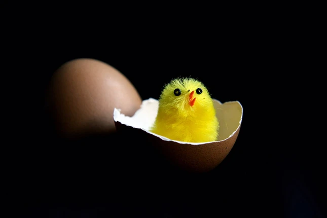 happy easter. (1).jpg