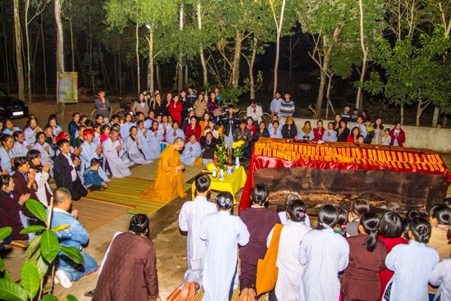 IMG_6535_1 (Medium).JPG