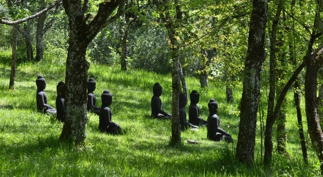 Vượt qua cám dỗ danh vọng ảnh 1 large.jpg