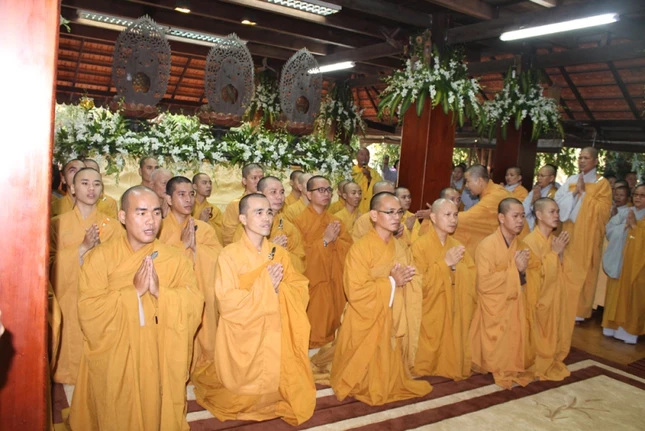 vt (11).JPG