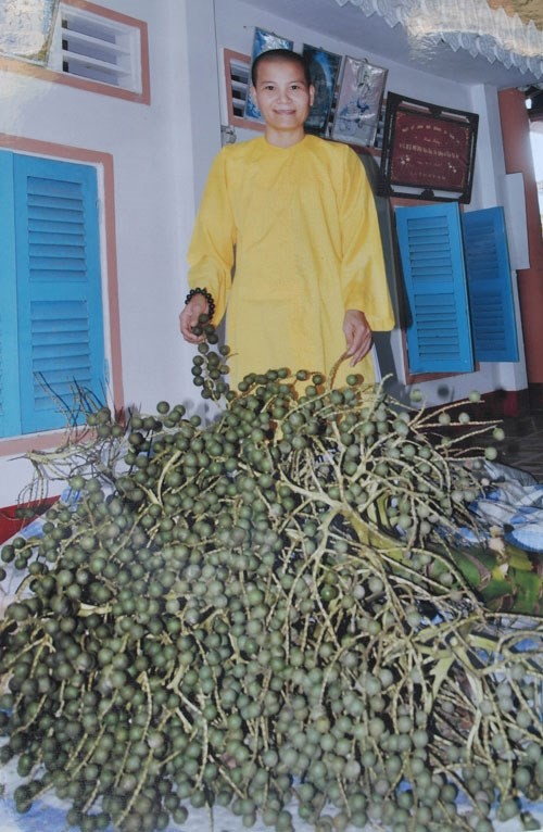 Lạ lùng cây cho nghìn trái ở chùa Bửu Quang ảnh 2 Sư cô Huệ Phương bên 1 nhánh cây lạ