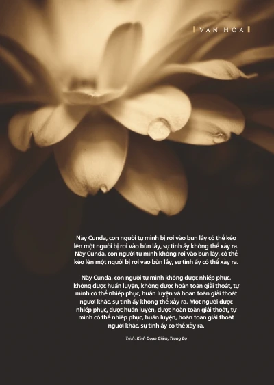 Ấn phẩm Liễu Quán mừng xuân Ất Mùi 2015 ảnh 8 Trang 17.jpg