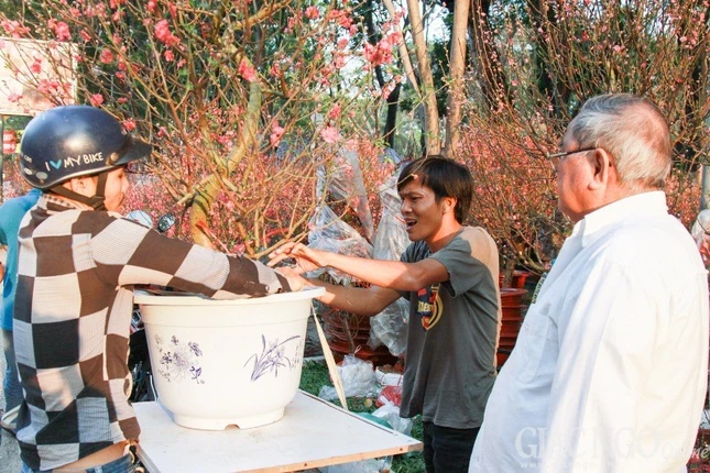 Nguoi dan Sai Gon no nuc mua dao chung tet_1.JPG