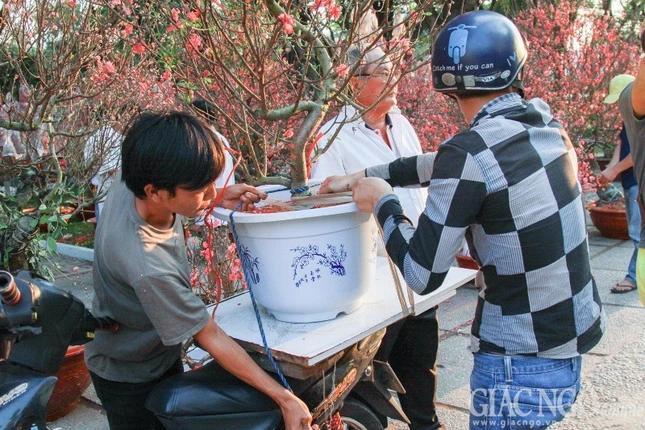 Nguoi dan Sai Gon no nuc mua dao chung tet_2.JPG