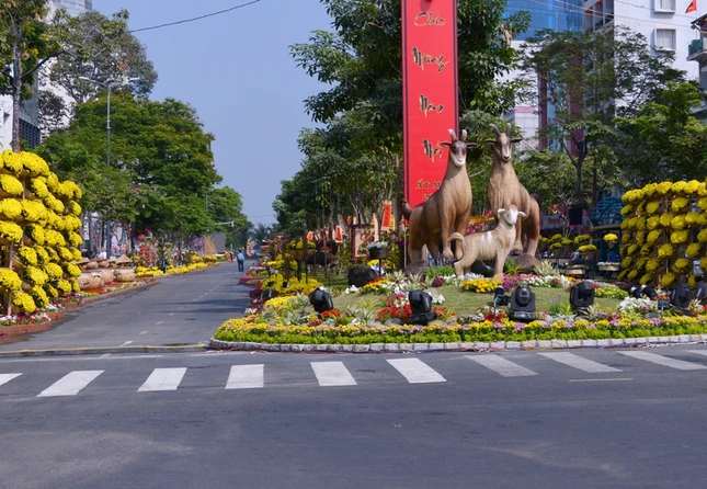Duong Hoa- Sach (5).JPG