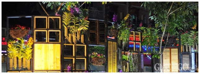 duong hoa 7.jpg