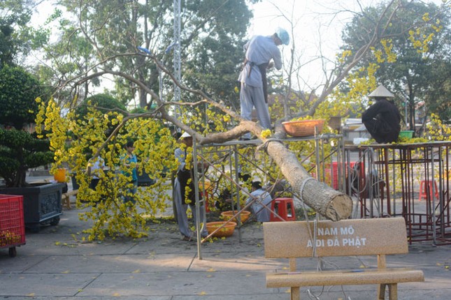 Chư Tăng, Phật tử chùa Hoằng Pháp rộn ràng đón Tết ảnh 4 c hp 4.jpg