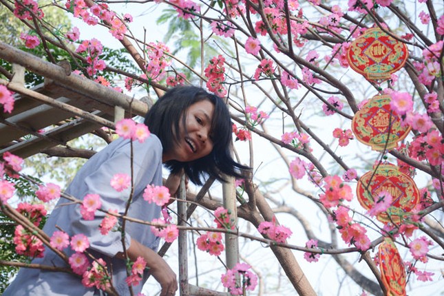 Chư Tăng, Phật tử chùa Hoằng Pháp rộn ràng đón Tết ảnh 5 c hp 5.jpg