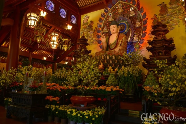 Trang tri (10).jpg