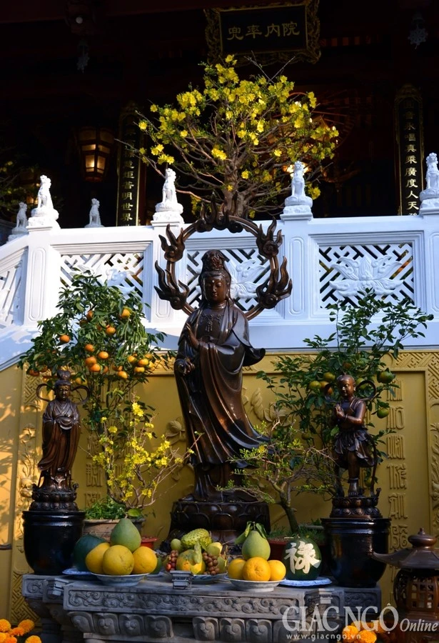 Trang tri (14).jpg