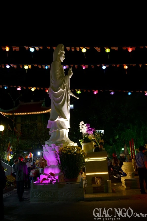 Trang tri (17).jpg
