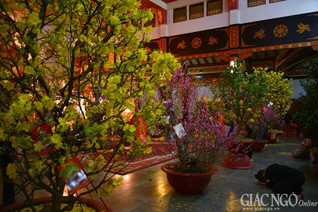 Trang tri (19).jpg