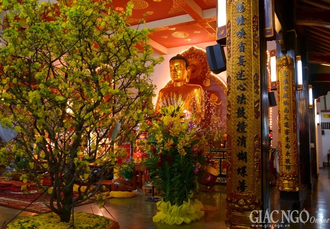 Trang tri (20).jpg