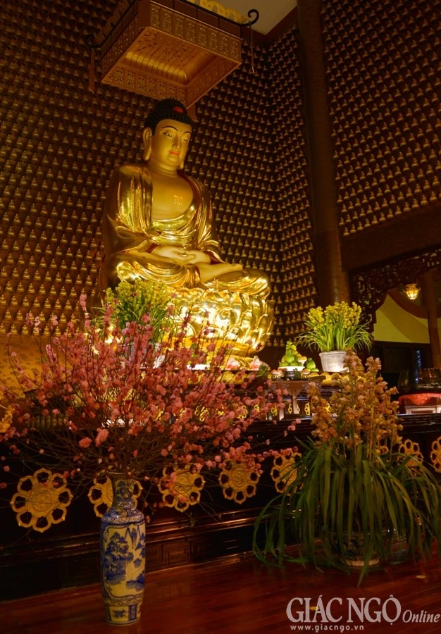 Trang tri (22).jpg