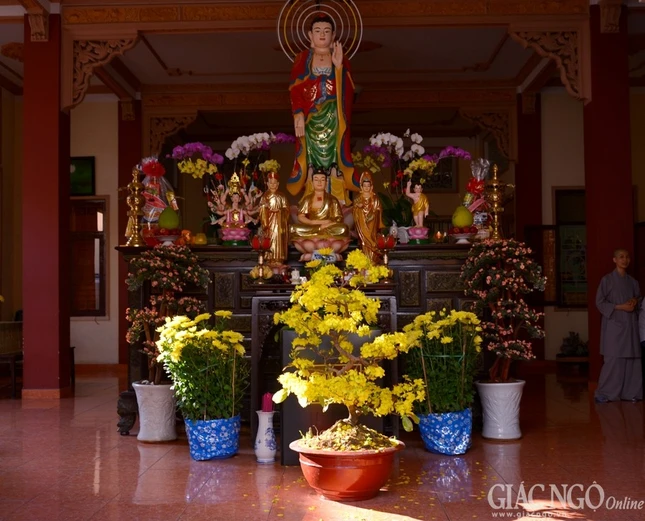 Trang tri (25).jpg