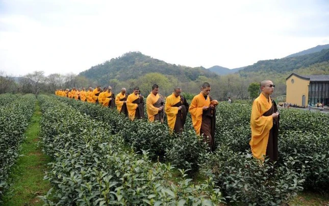 Bàn về xu thế phát triển hiện nay của Phật giáo đô thị ảnh 1 1 nsgn12.jpg