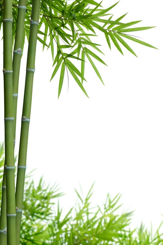 Giấc chiêm bao kỳ diệu ảnh 1 shutterstock_105989093.jpg