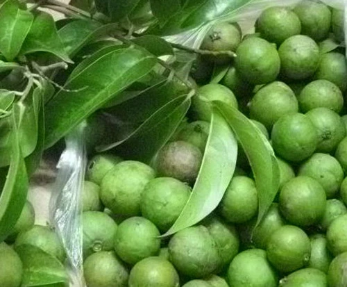 NH_NG QU_ S_U BAO T_ XANH NON.jpg