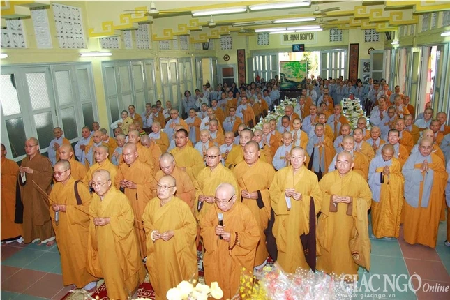 ANH VG (4).jpg