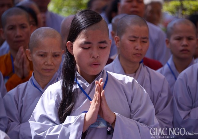 DGD Hien Ky (15).jpg