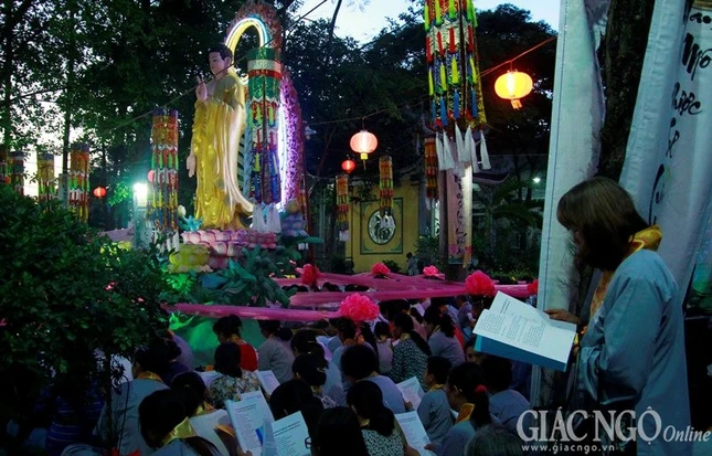 duoc su (3).JPG