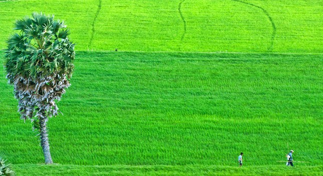 Thơ Trần Quê Hương: Bốn ngàn năm - Bốn mươi năm... ảnh 2 anh-girl-xinh282.jpg