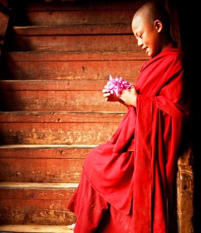 Không phóng dật ảnh 1 suy nghiem loi phat 2.jpg