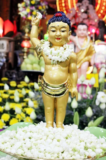 IMG_0840 tam phat.jpg