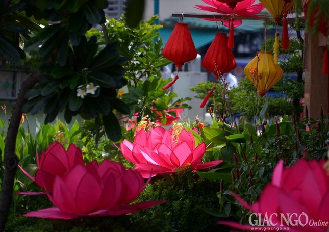 Khong khi Phat dan  (16).jpg