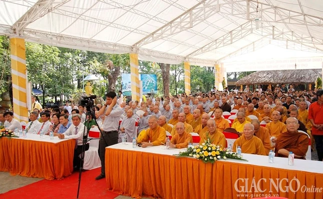 VG - HOi Son (4).jpg