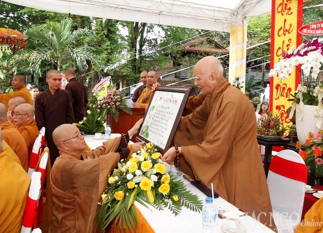 VG - HOi Son (8).jpg