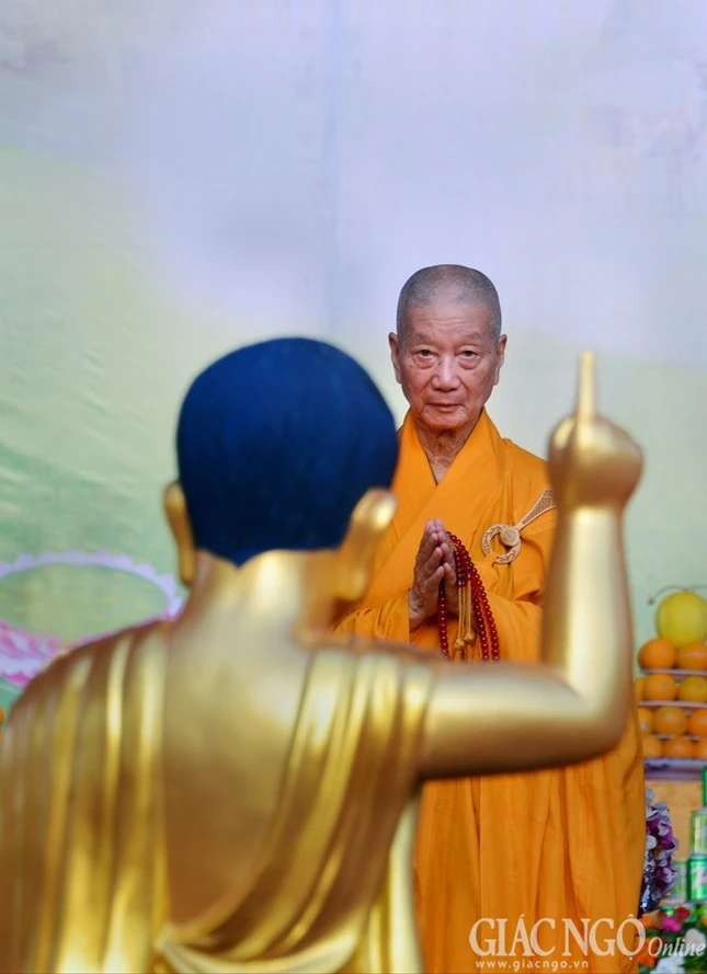 TP.HCM: Trang nghiêm lễ rước Phật thiêng liêng ảnh 40 ANH AA BAo AA (24).jpg