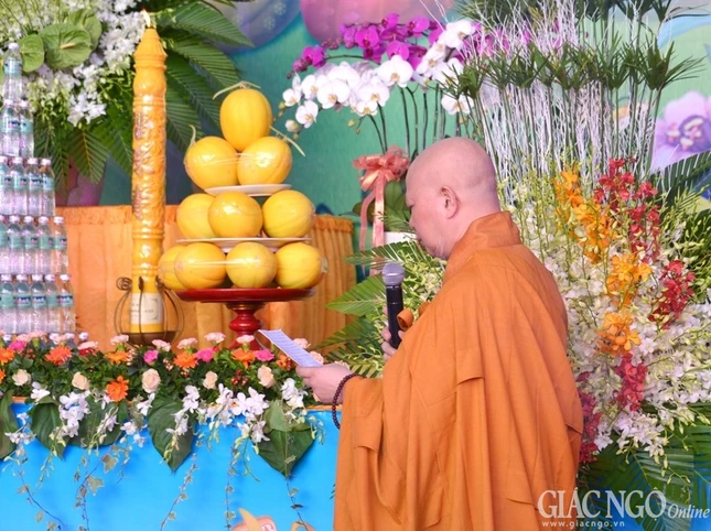 ANH AA BAo AA (26).jpg