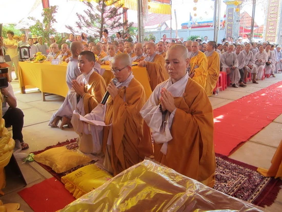 a157(su co tan tru tri phat nguyen3).jpg