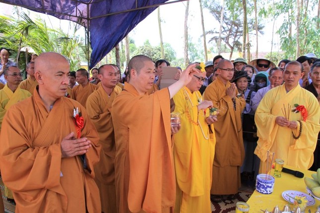 IMG_7392 (Small).JPG