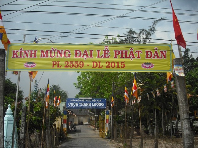 Đất "sen hồng" đón mừng Đản sinh ảnh 2 dthap 2.jpg