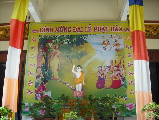 Đất "sen hồng" đón mừng Đản sinh ảnh 3 dthap 3.jpg