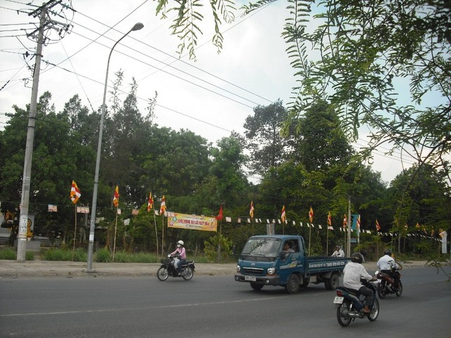 Đất "sen hồng" đón mừng Đản sinh ảnh 4 dthap 4.jpg