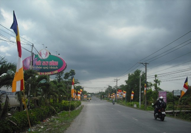 Đất "sen hồng" đón mừng Đản sinh ảnh 7 dthap 7.jpg