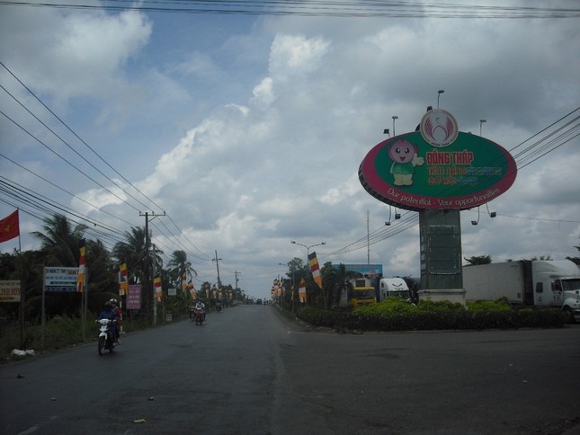 Đất "sen hồng" đón mừng Đản sinh ảnh 8 dthap 8.jpg