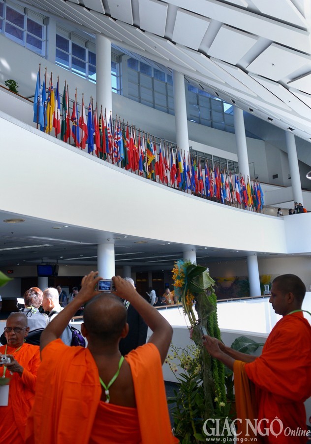 Chum anh tai tru so LHQ (16).jpg