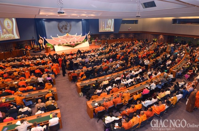 Chum anh tai tru so LHQ (9).jpg