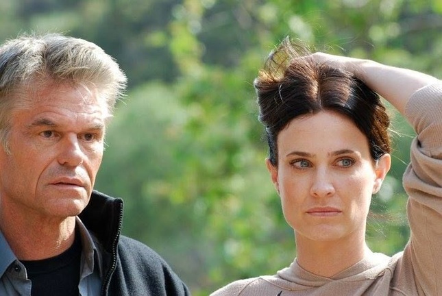 Khởi chiếu bộ phim “Tứ thánh đế” ảnh 1 H3.jpg