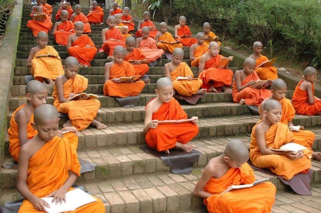 TP.HCM: Lịch thuyết giảng Phật pháp ngày 14-6-2015 ảnh 1 tieu dep oi.jpg