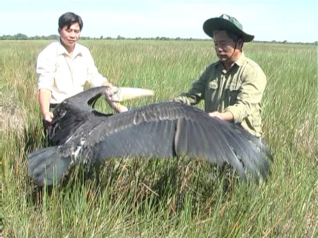 Tha chim Gia Day ve Vuon QGTC.jpg