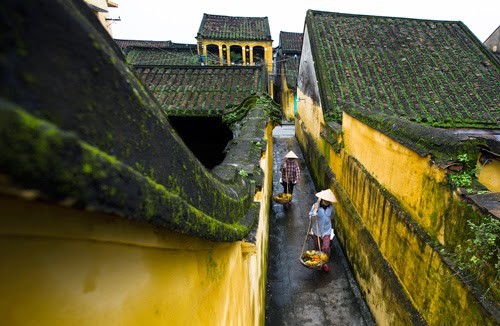 Hẻm rêu ảnh 1 hem reu.jpg