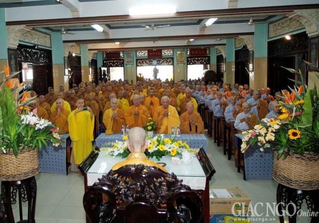 Tu Quang - Thu Duc (3).jpg