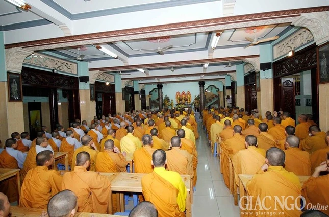 Tu Quang - Thu Duc (4).jpg