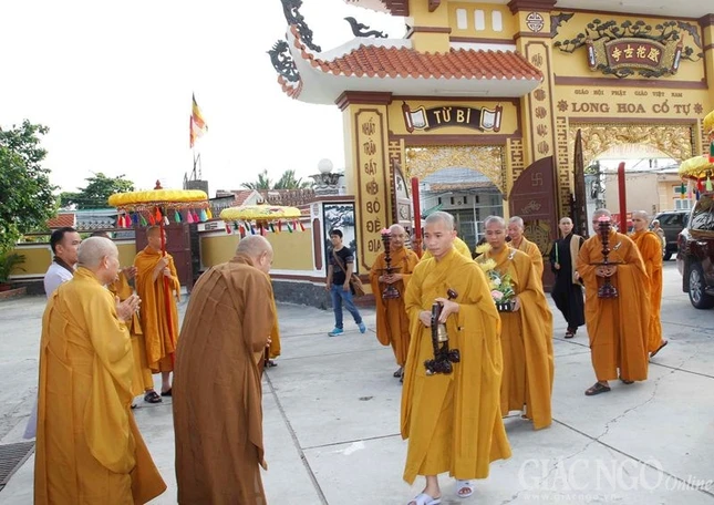 truong ha q7 (1).jpg